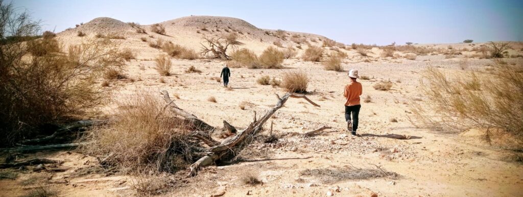שמורת נחל שיזף 