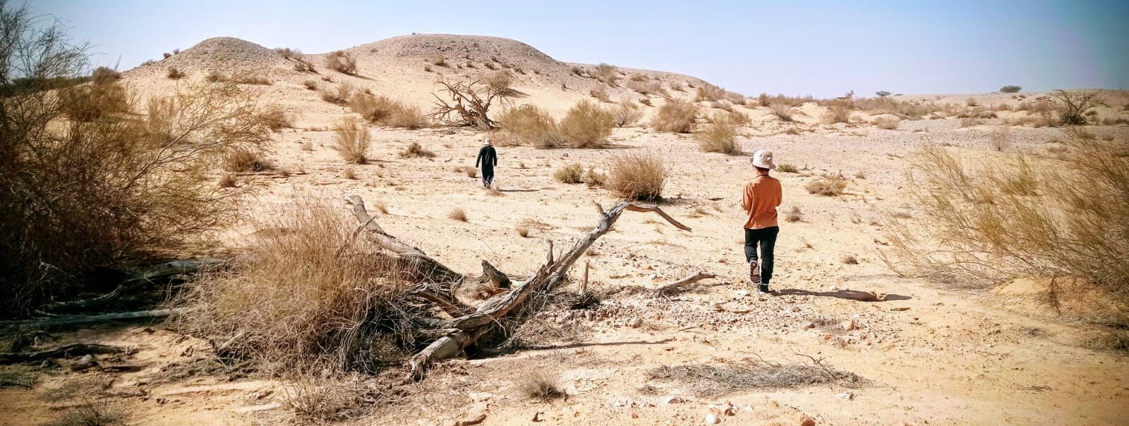 שמורת נחל שיזף