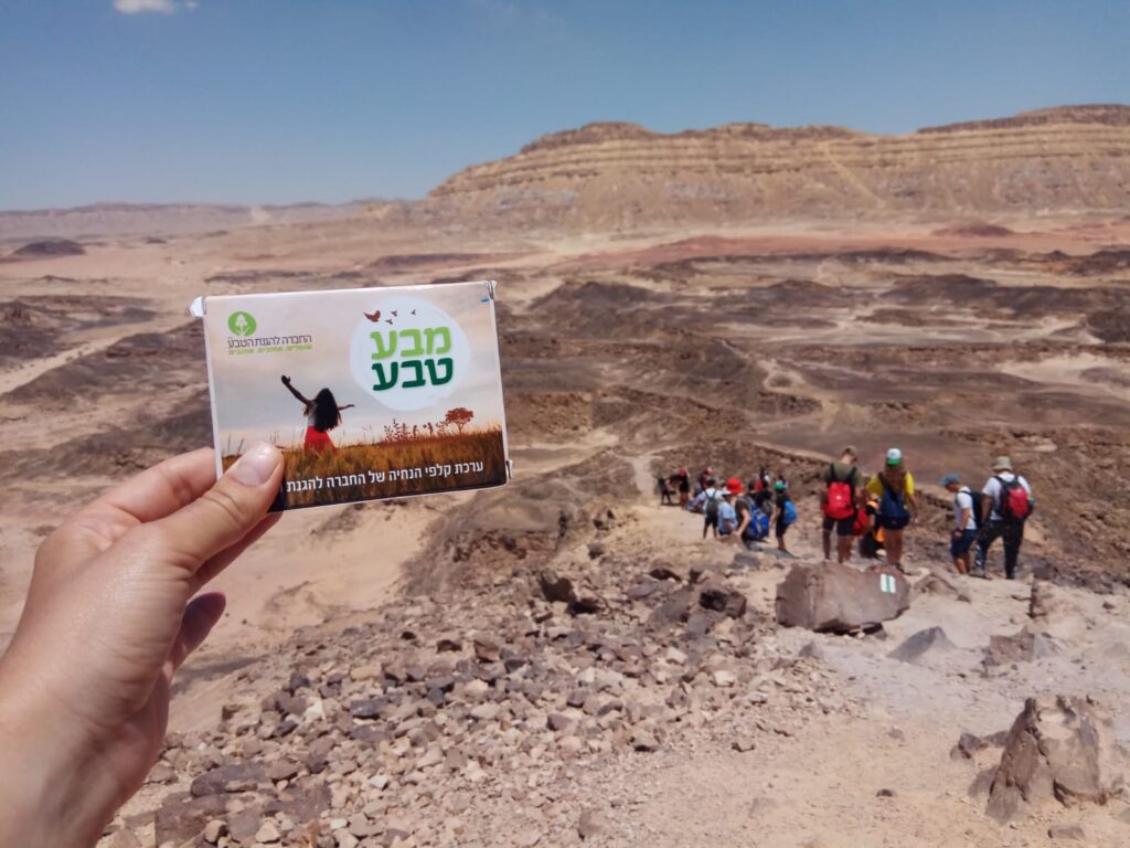 קלפי מבעטבע בטיול במדבר בתקריב 