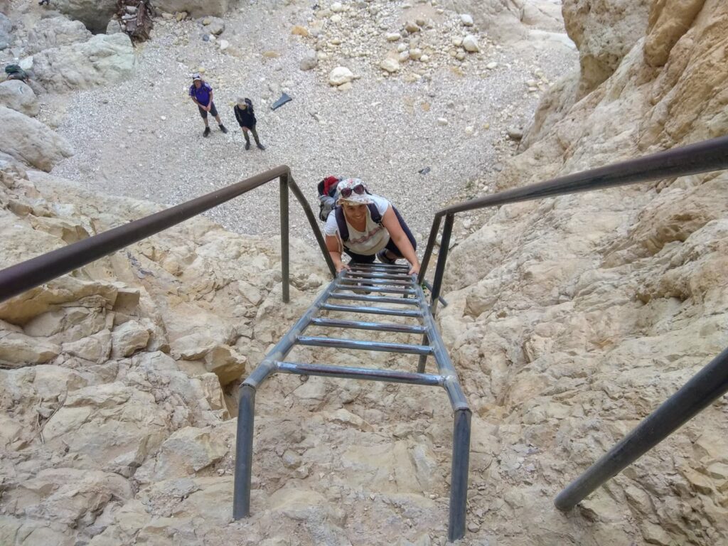 צילום מלעמלה של מטיילת מטפסת על סולם בנחל תמר 
