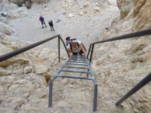 צילום מלעמלה של מטיילת מטפסת על סולם בנחל תמר