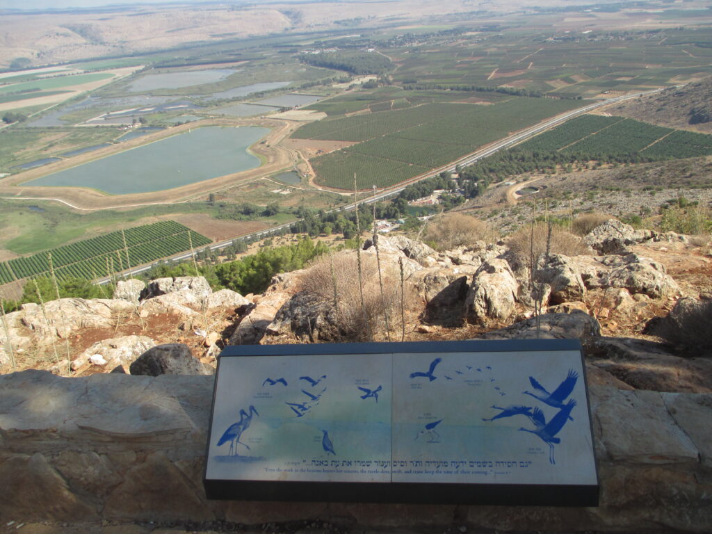 תצפית מקרן נפתלי על עמק החולה 