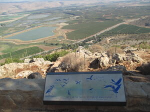 תצפית מקרן נפתלי על עמק החולה