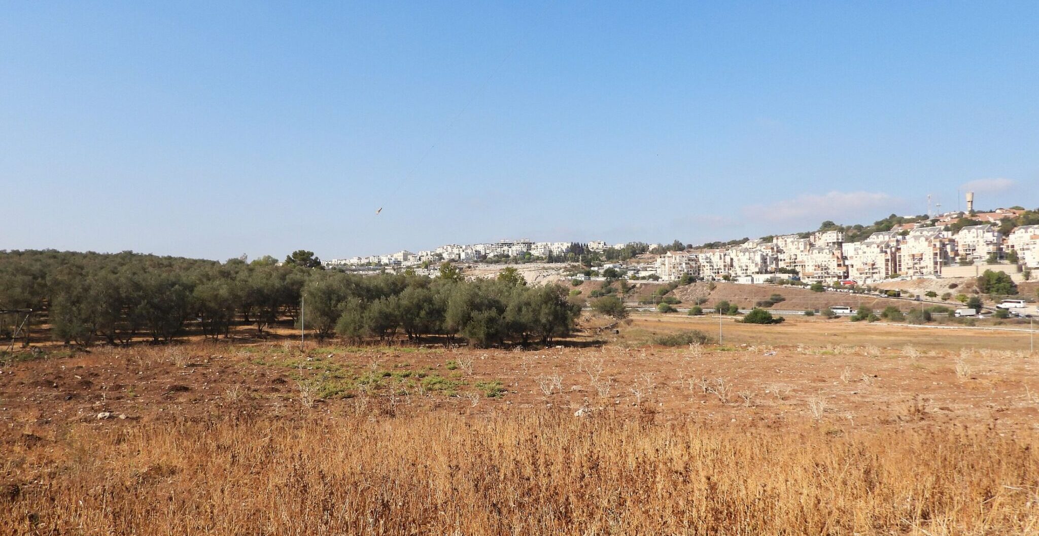 השטח של תוכנית בנייה ו׳2 מזרחית לבית שמש
