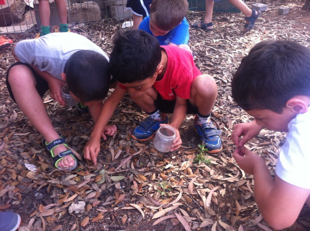 ילדים בפעילות בטבע בחוף כרמל
