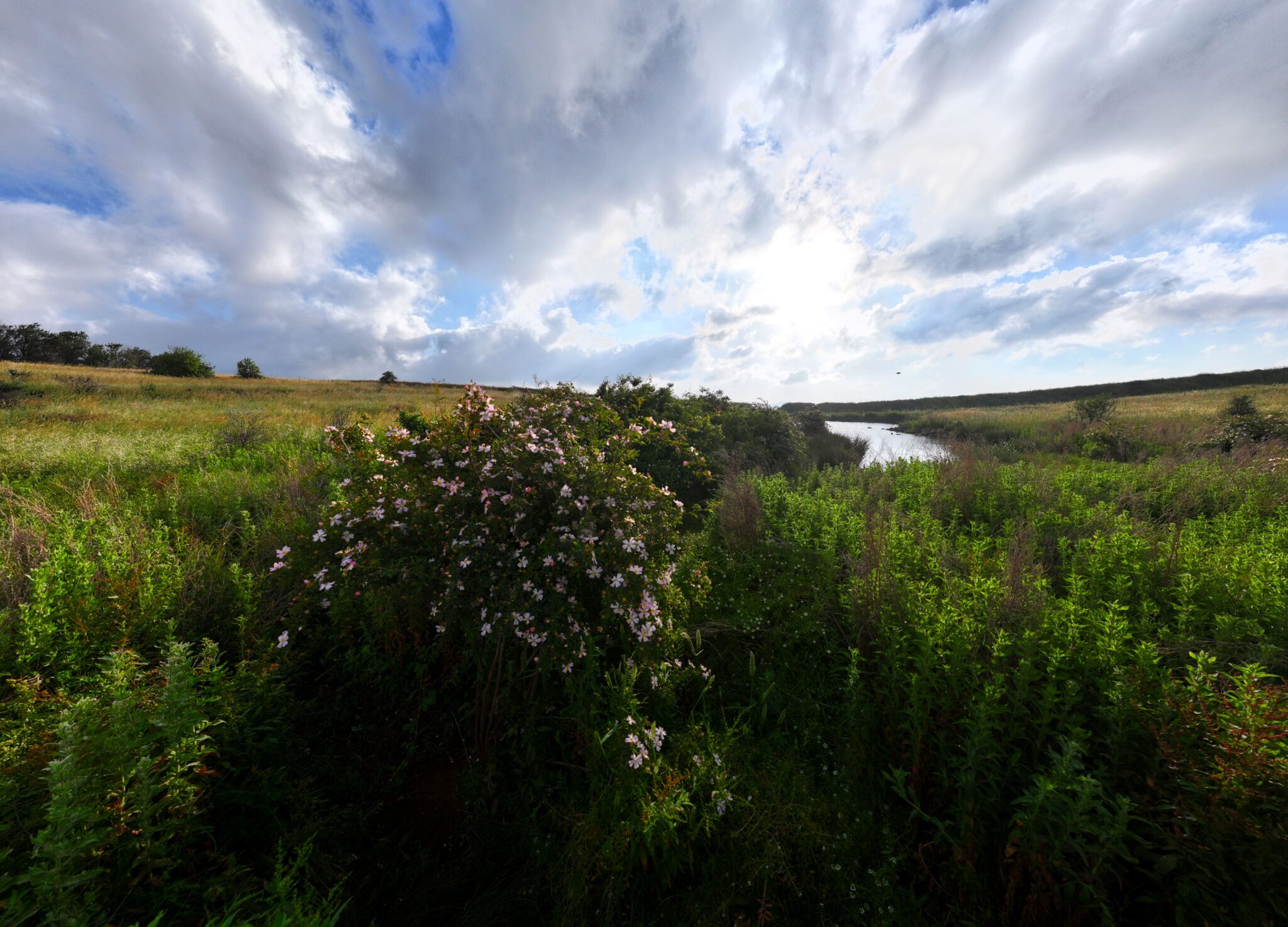 נוף בעמק הבכא