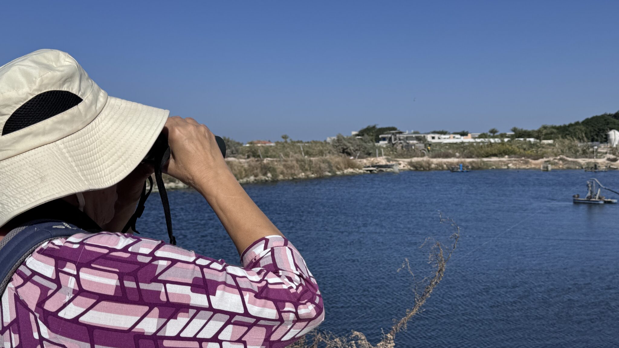 סיור צפרות במעגן מיכאל