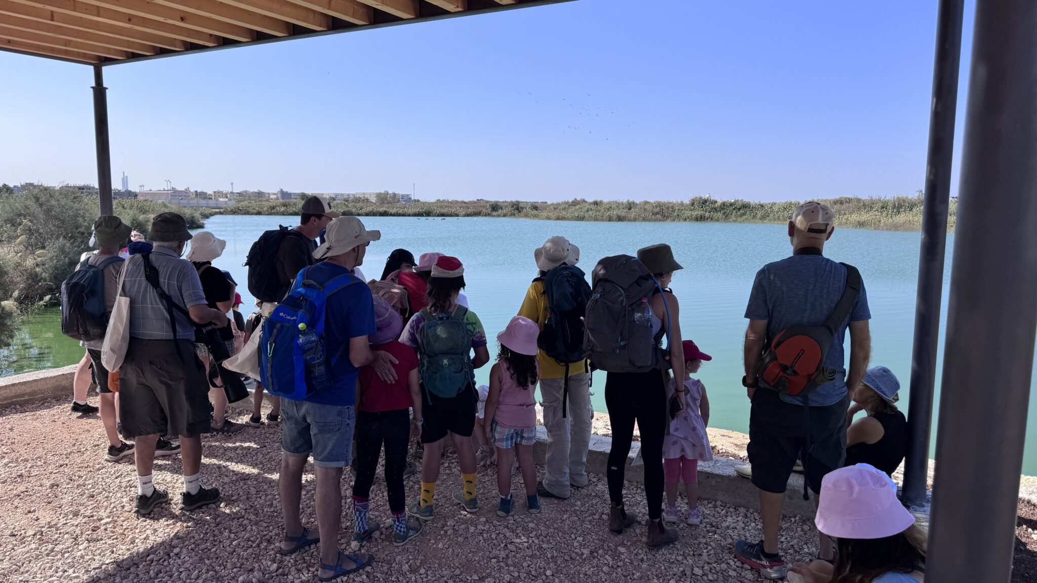 סיור צפרות במעגן מיכאל