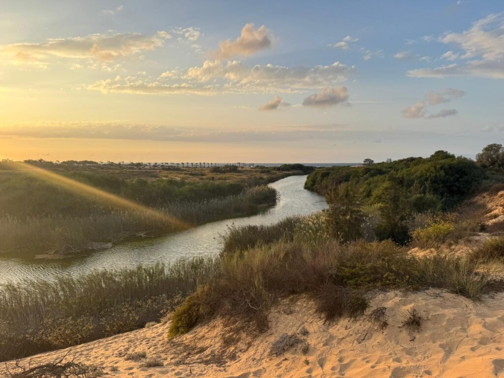 שקיעה בנחל שקמה תצפית אל הנוף של הנחל, שמיים זהובים 