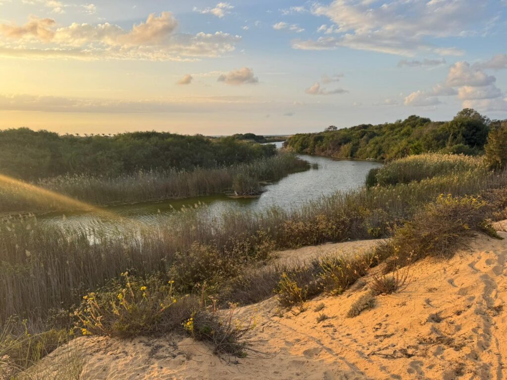 שקיעה בנחל שקמה תצפית אל הנוף של הנחל, שמיים זהובים