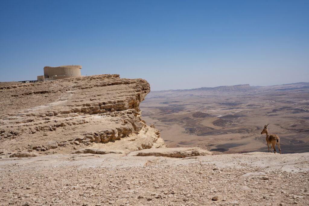 טיילת אלברט כץ מכתש רמון