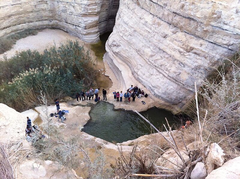 <em>לטבול במים באמצע המדבר:</em> טיולים במעיינות רמת הנגב