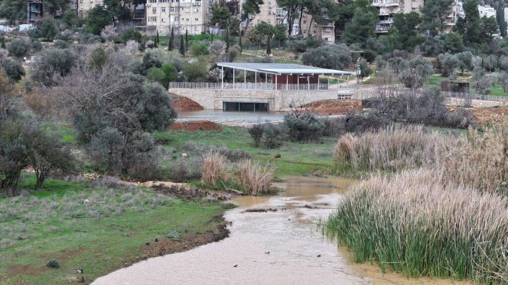 עמק הצבאים לאחר הגשם 