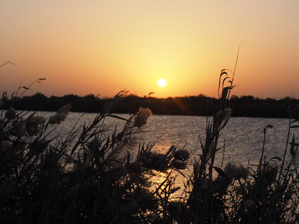 שקיעה בשמורת הדיפלה