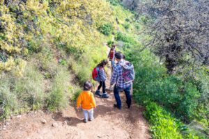 צילום מהגב של משפחה מטיילת בשביל בגולן הירוק והפורח