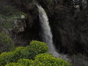 תקריב של מפל עיט ברמת הגולן