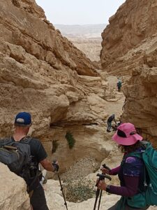מטיילים בנחל מצוקים עם מקלות טיולים