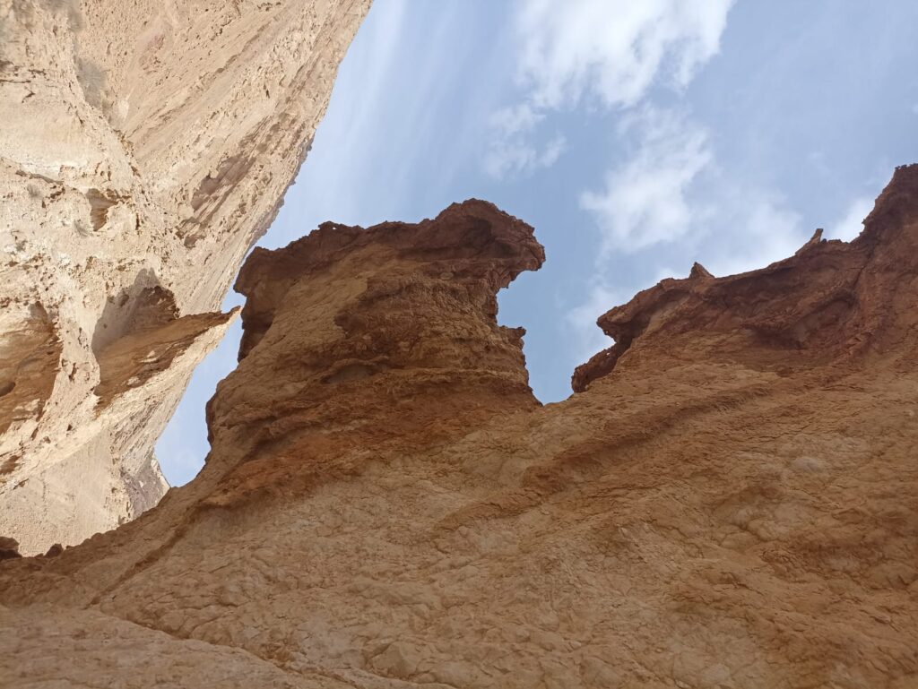 נחל עקרבים