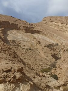 תמונה של נחל עקרבים וצורת לב על החול