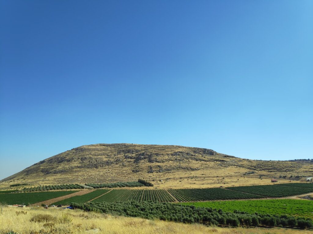 צילום של הר כוכב מזווית אחרת ופריחה וירוק בנוף 