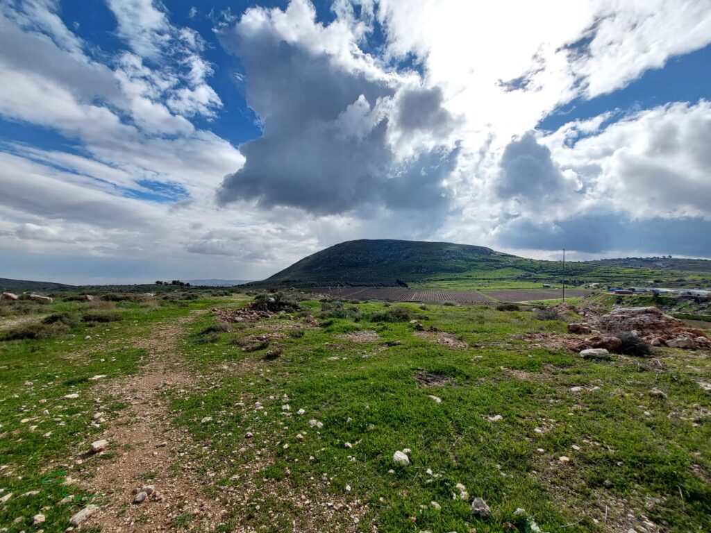 צילום של הר כוכב מזווית אחרת ופריחה וירוק בנוף 