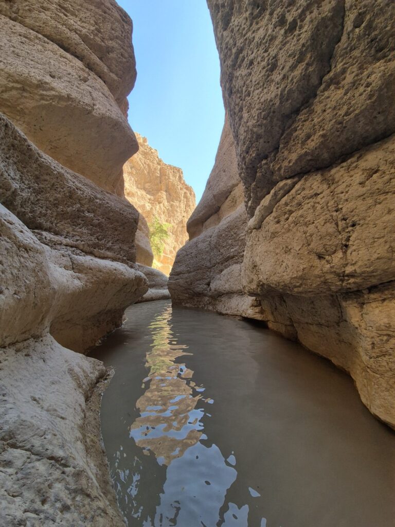 גבי מים בנחל אשלים 