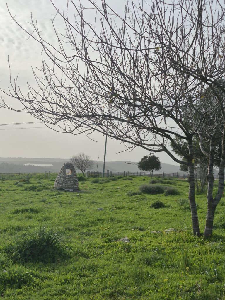 פריחה ונוף במסלול סובב דליה 