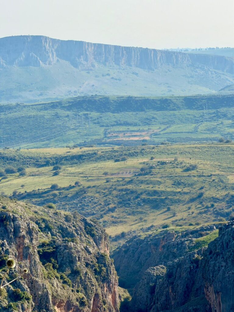 תמונת נוףף של תצפית על נחל עמוד והכל ירוק ופורח 