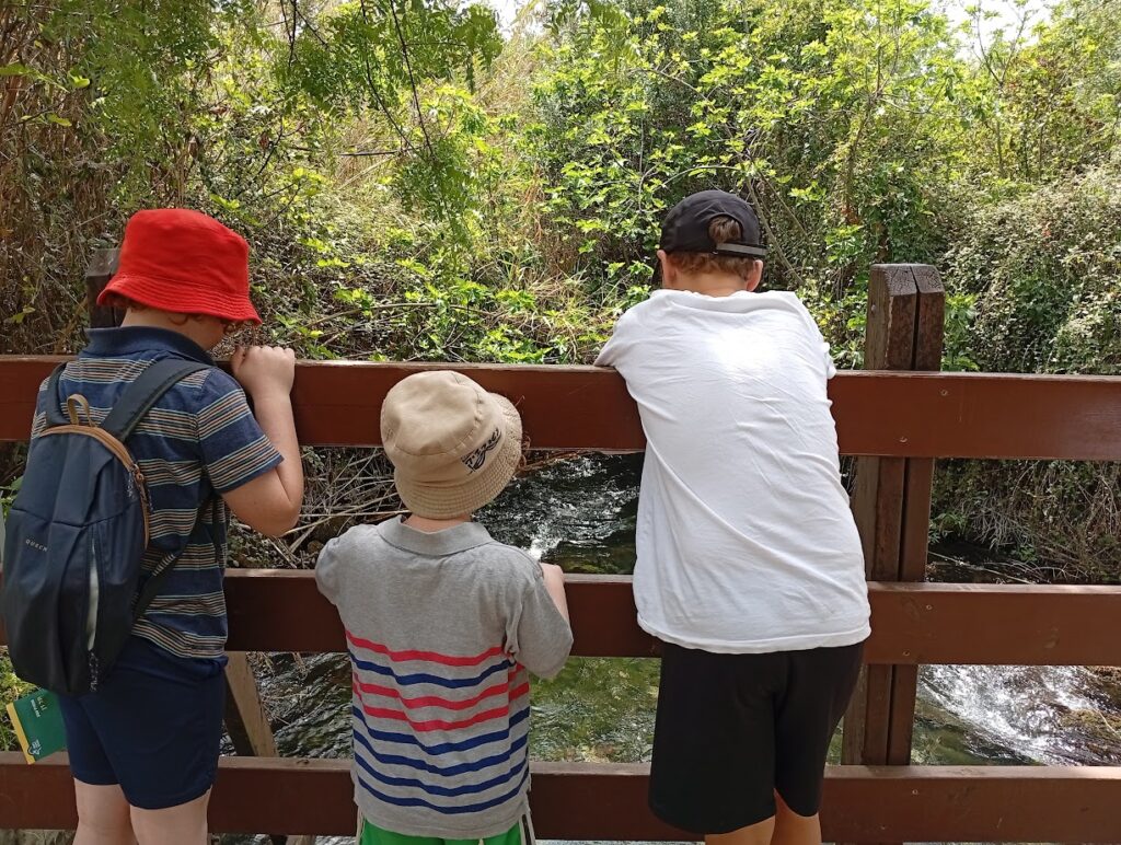 ילדים בנחל דן, שמורת תל דן תמונה מהגב 