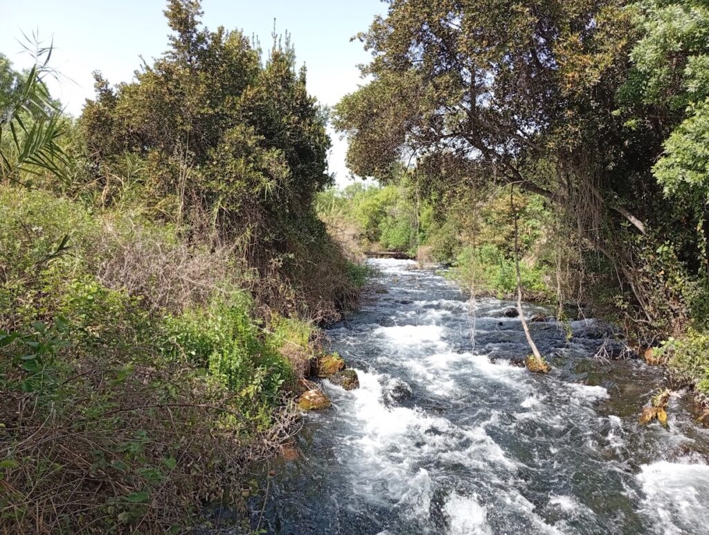 נחל דן שוצף וגועש