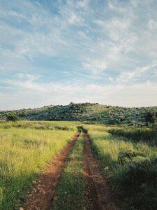 שביל בשטח פתוח בגבעות כוכב יאיר-צור יגאל עם נוף לגבעה ירוקה