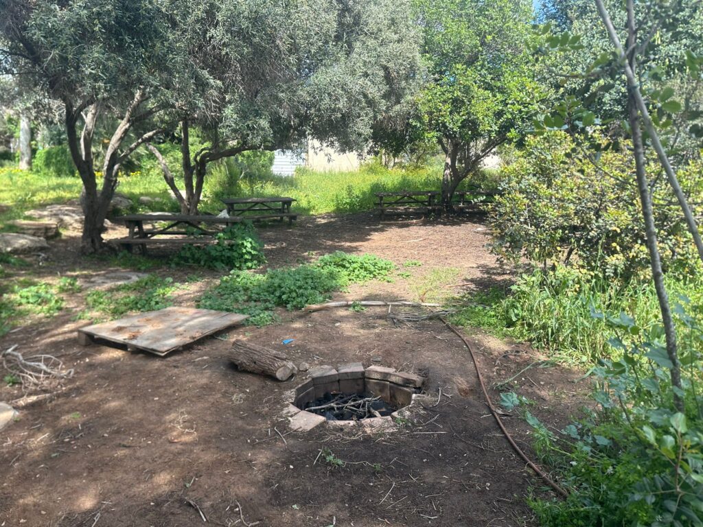 החורשה בבית ספר שדה חוף כרמל עם מעגל למדורה 