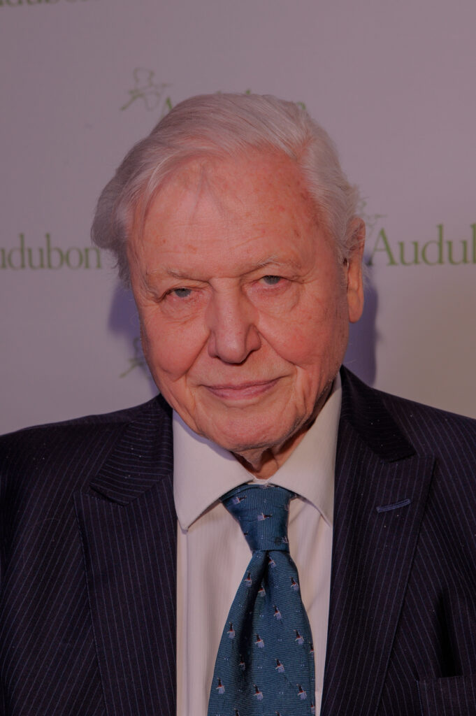 סר דיוויד אטנבורו 