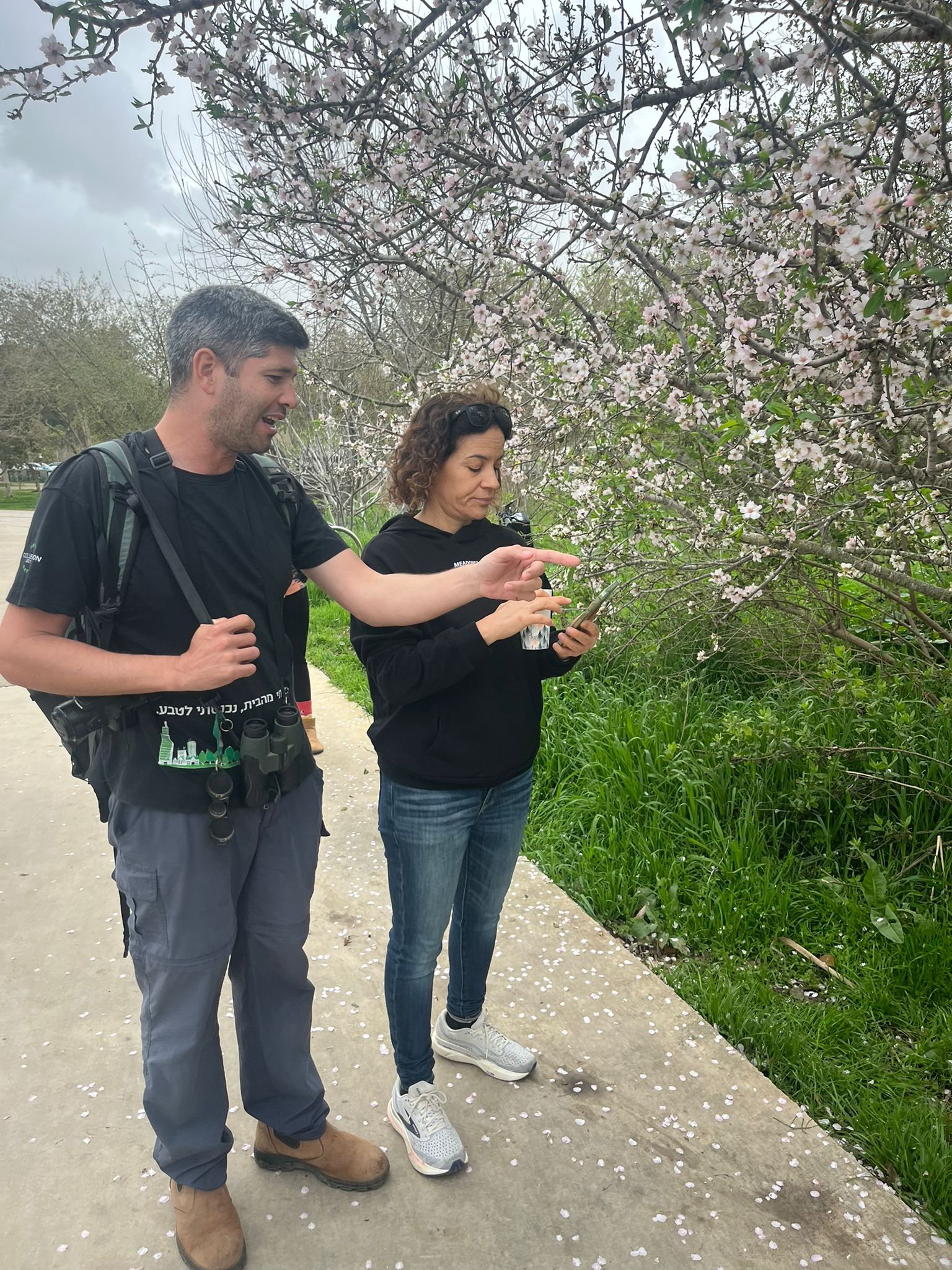 האתגר הבינלאומי לטבע עירוני מגיע לישראל: <em>מתצפתים, מדווחים ועוזרים לשמור על הטבע ליד הבית</em>