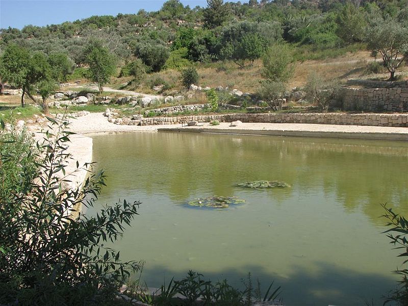 תמונה של בריכת מים בפארק קנדה בעמק המעיינות