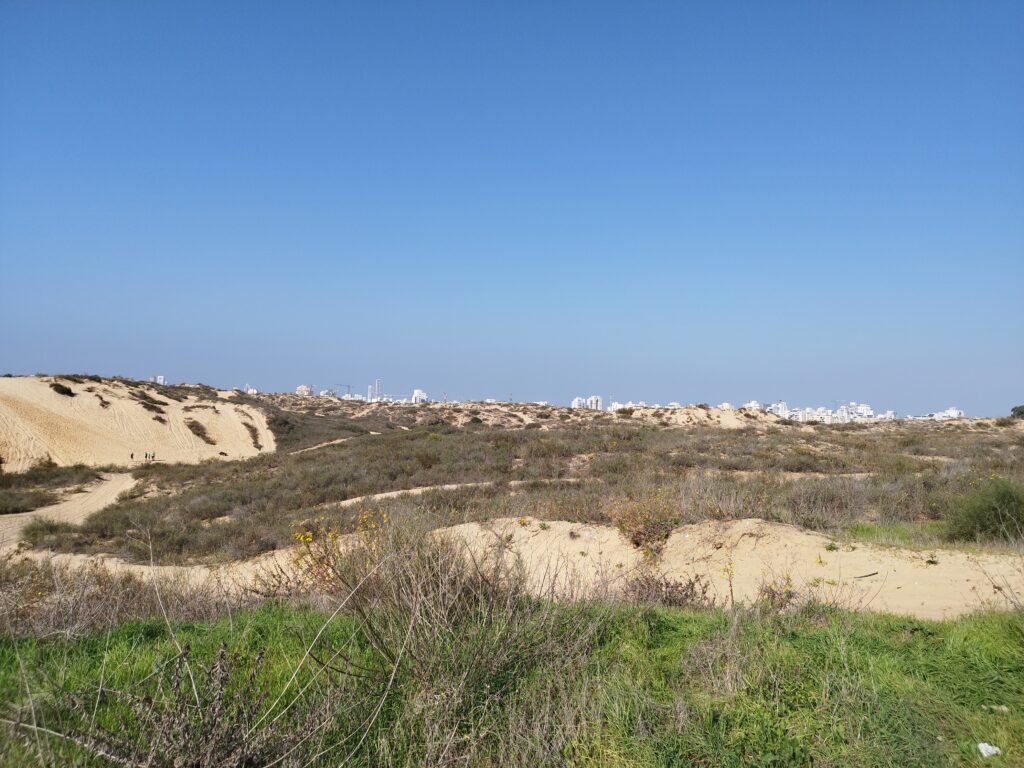חולות חולון