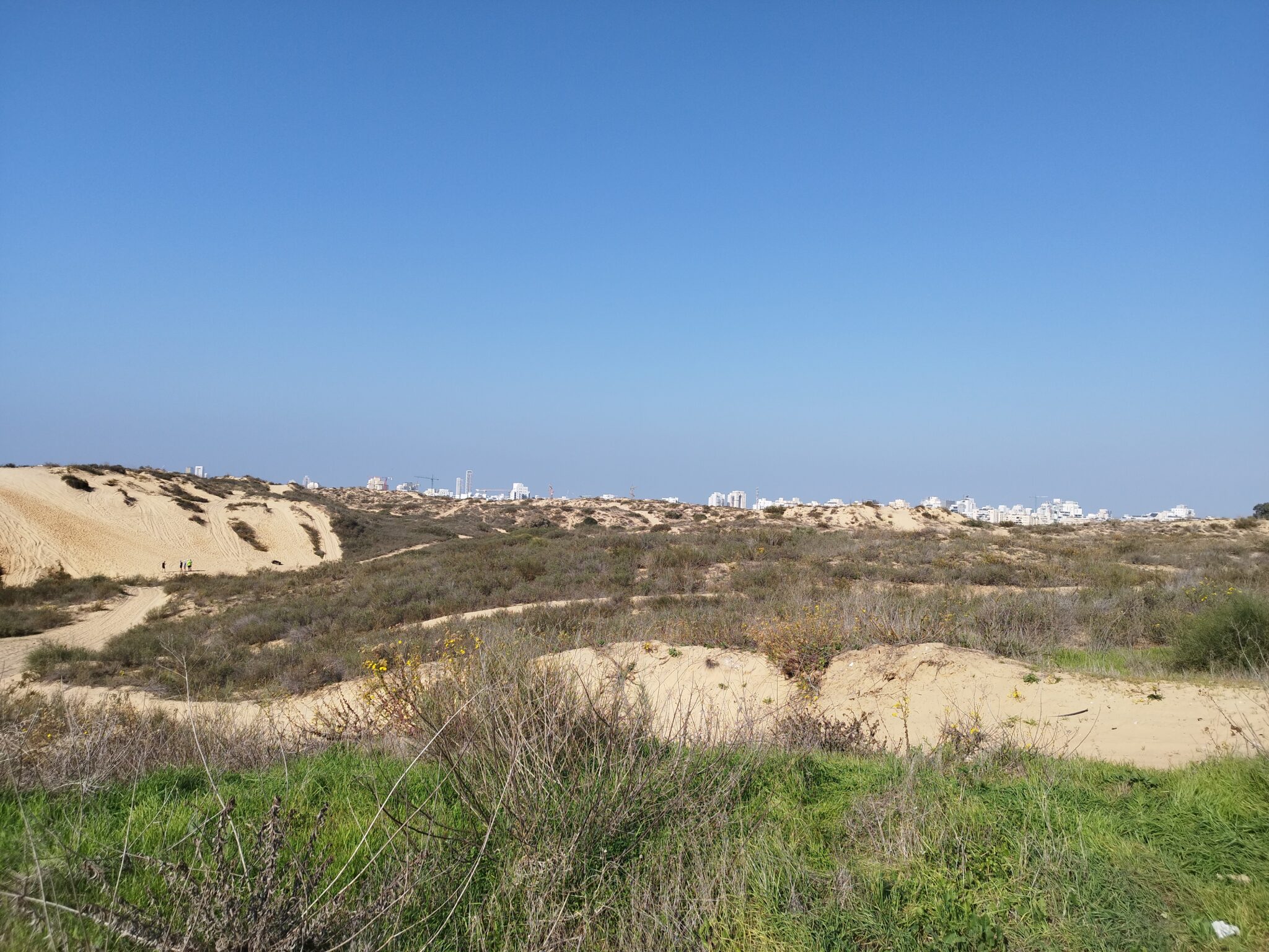 חולות חולון