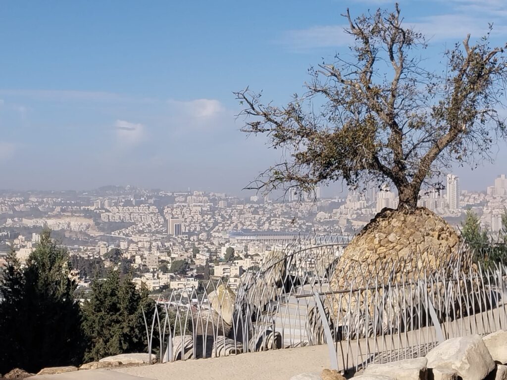 תצפית מרמת רחל