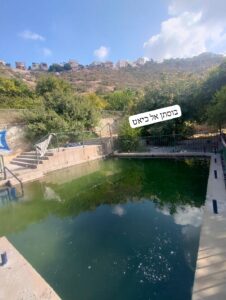 מעיין בוסתן אל כיאט מלא במים עם נוף של עצים והר מאחוריו