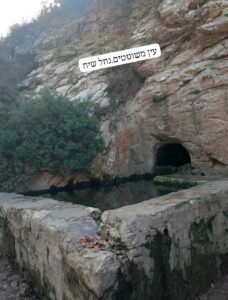 עין משוטטים מלא במים בנחל שיח