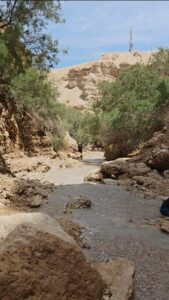 נחל בוקק. צילום: אתי כסיף