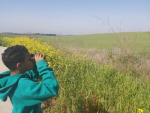 ילד בפרופיל עם שקפת בעיניו צופה אל עבר גבעה ירוקה