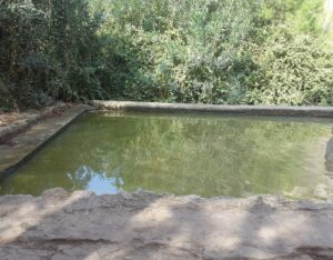 עין אלון בכרמל, הבריכת מים מקרוב