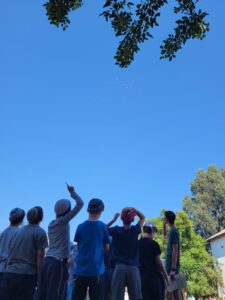 ילדים מביטים למעלה ללהקת ציפורים שנודדת בשמיים